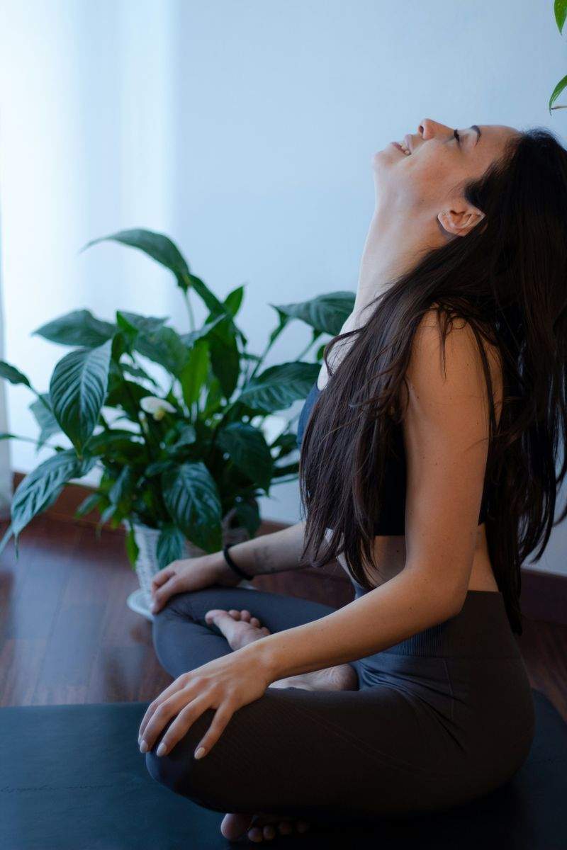 ハタヨガ